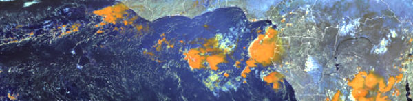 EUMETSAT's Next Director-General