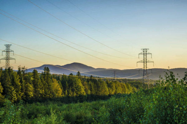 Vegetation Management System From AiDash + UP42 EO Platform