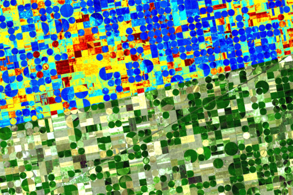 Partnership Signed For High Value Agriculture EO Data By ConstellR + ScanWorld