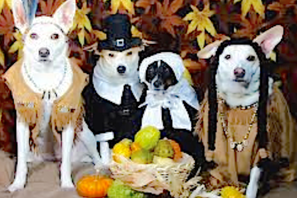 Satnews Publishers Wishes Everyone a Happy Thanksgiving