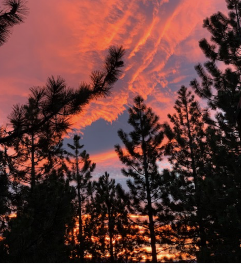 In celebration of Easter...