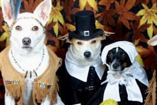 Satnews Publishers Wishes Everyone a Happy Thanksgiving