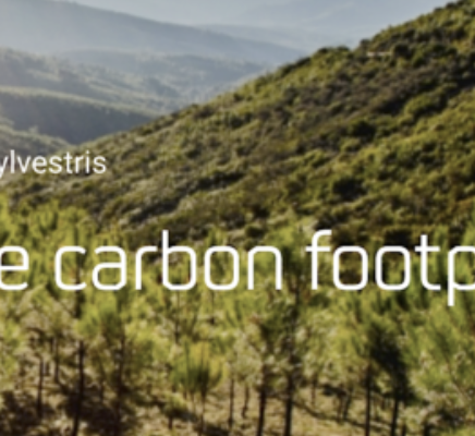 Hispasat's comprehensive fire protection system in three new areas reforested by Green Engine