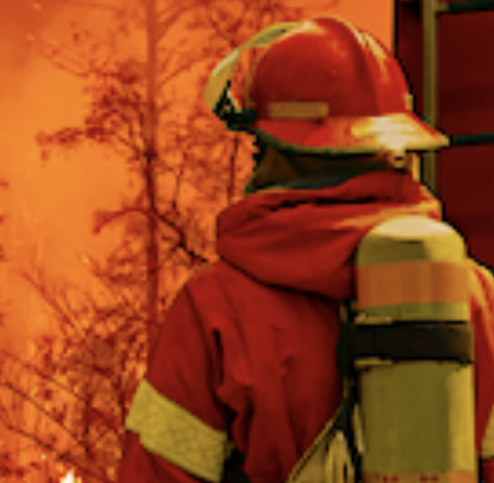 Dryad Networks and Kinéis provide next-gen satellite-enabled ultra-early wildfire detection