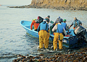 SpaceX delays April Fool's day launch of Starlink Group 11-13 smallsats now on for Thursday