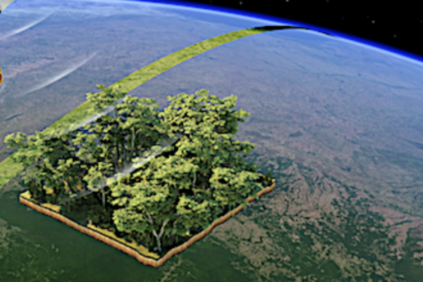 Success for ESA's Biomass mission as Forest satellite’s big antenna opens up