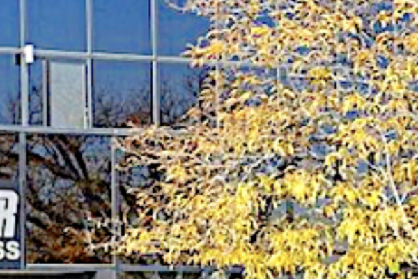 Forrester's Digest: EchoStar avoids Chapter 11