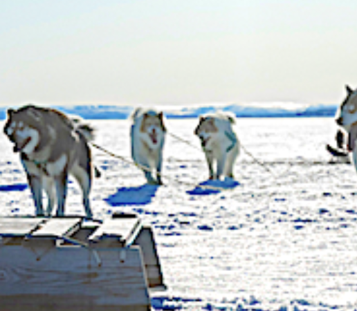 SpaceX plans two launches from two coasts on Thursday, Starlink smallsats Group 10-15 from the Cape