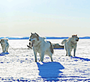SpaceX is GO! for Friday launch of 28 Starlink smallsats Group 11-39 from Vandenberg