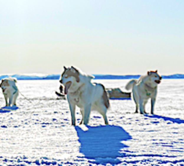 SpaceX is GO! for Friday launch of 28 Starlink smallsats Group 11-39 from Vandenberg