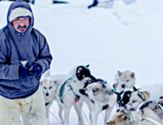 Eutelsat and Tusass expand strategic partnership to bring resilient OneWeb LEO connectivity to Greenland