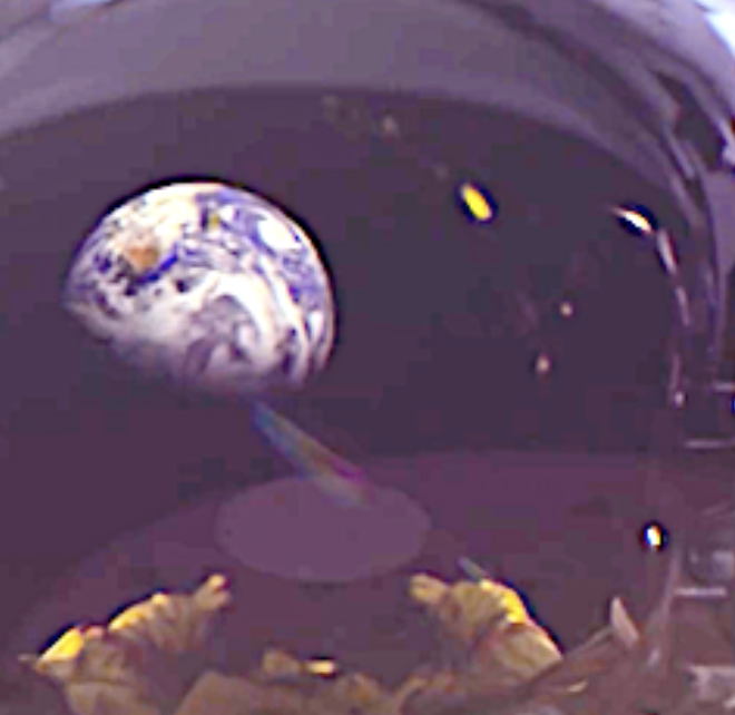 Ofcom grants temporary licenses to Starlink Services to harness E-Band for NGSO gateway Earth stations at three sites