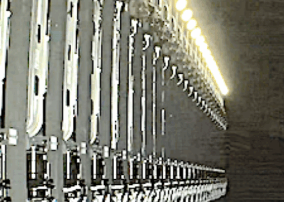 Starlink Group 6-81 successful launching 29 smallsats on Wednesday from the Cape