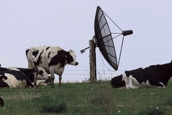 Satellite Operators to Capture Just 4% of $20 Billion BEAD Broadband Funds