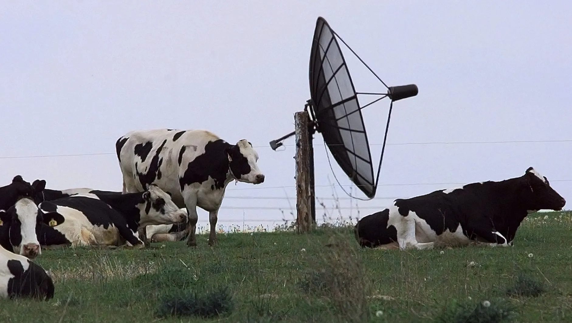 Satellite Operators to Capture Just 4% of $20 Billion BEAD Broadband Funds